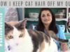 #CatsOnQuilts Pet Grooming Glove review – Vlog