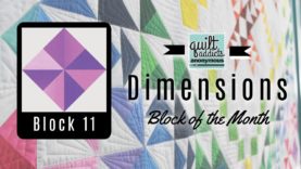 Dimensions Block of the Month – Block 11 video tutorial
