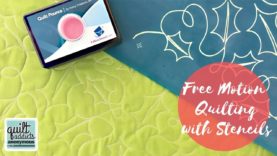 Holly Meander Quilt Design Tutorial! Perfect for Christmas and Holiday Quilts