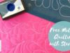 Learn to Quilt Modern Feather Border using Full Line Stencil!