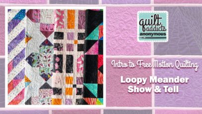 Loopy Meander Show and Tell – Intro to Free Motion Quilting