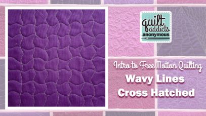 Cross Hatched Wavy Lines – Intro to Free Motion Quilting